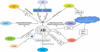 Role of the Extracellular Matrix in Alzheimer’s Disease